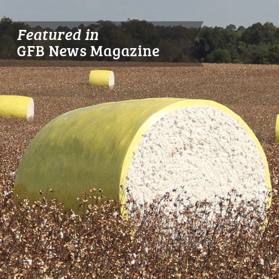 Seed cotton and ginning cost share programs  give growers what they need